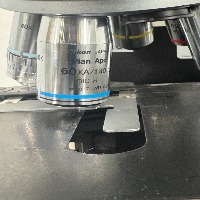 Nikon Eclipse E1000 Microscope image 3